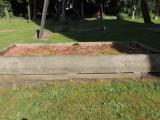 image of grave number 768500
